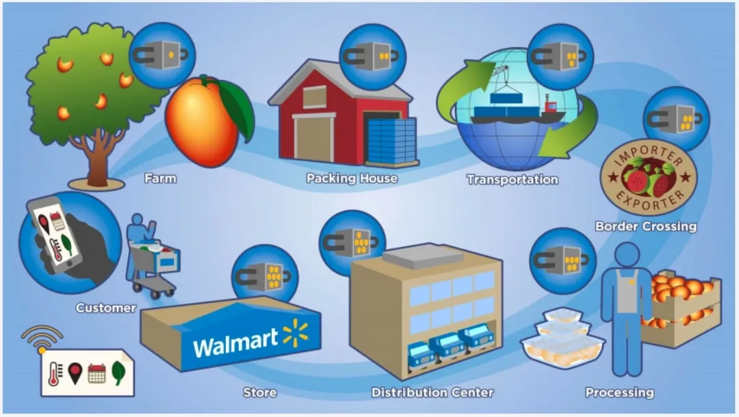 Walmart hợp tác cùng IBM Walmart và IBM sử dụng nền tảng Blockchain Food Trust