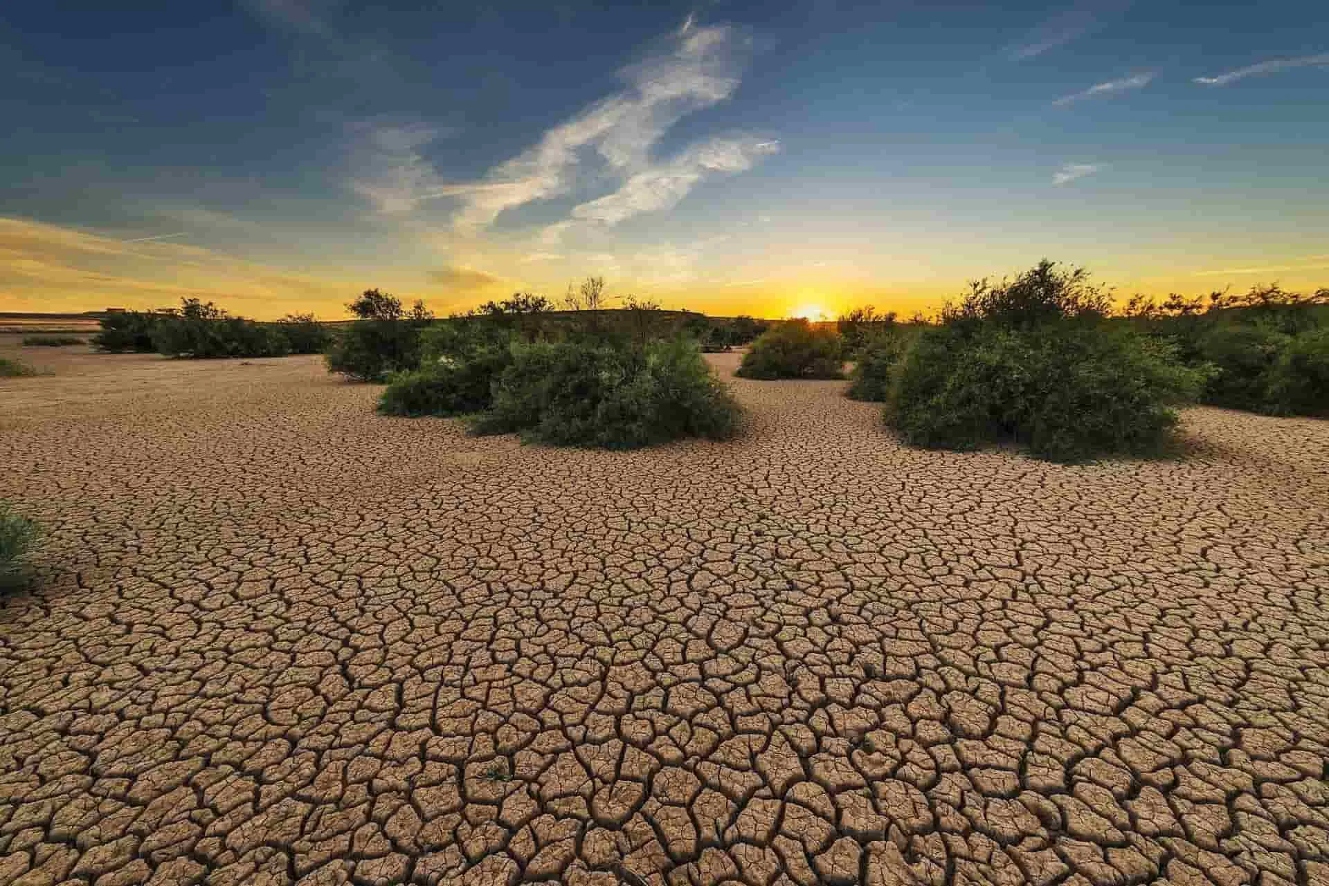 thời tiết khô hạn Cảnh Báo El Nino 2026, Ngành Nông Nghiệp Đứng Trước Nguy Cơ Biến Động Lớn