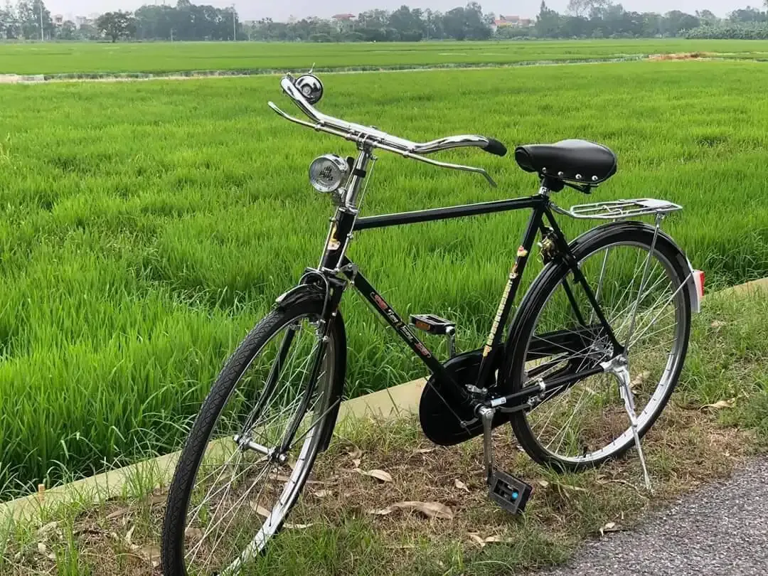 Xe đạp phượng hoàng